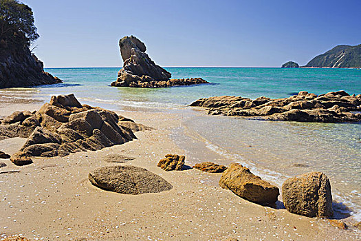海滩,石头,湾,南岛,新西兰