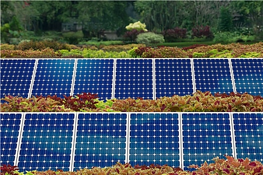 概念,太阳能电池板,花园