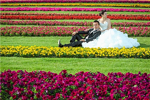 新郎,新娘,坐,草坪,花