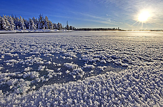 瑞典,拉普兰,冬季风景,湖