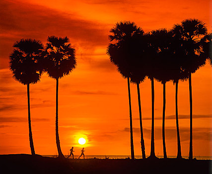 剪影,两个,慢跑,棕榈树,日落,卡隆海滩,普吉岛,省,泰国,亚洲