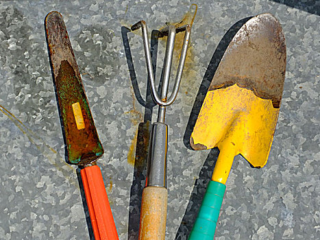 彩色,园艺工具,耙子,手铲