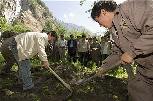 大熊猫,恢复,努力,工人,埋葬,棺材,五月,2008年,地震,卧龙,中国