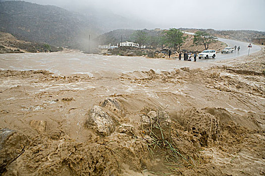 洪水,重,雨,风暴,森林采伐,悬崖,保护区,也门