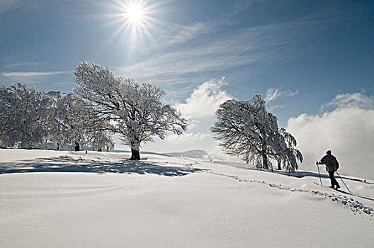 冬季风景,越野滑雪者,黑森林,巴登符腾堡,德国,欧洲
