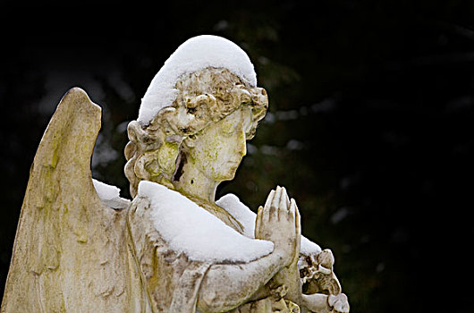 积雪,墓地,天使,小雕像,雪