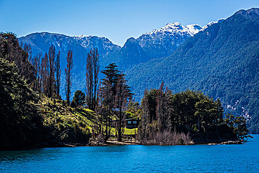 风景,湖,蔷薇目,巴塔哥尼亚,智利