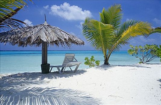 绿色,手掌,蓝天,蓝绿色海水,白沙滩,夏天,岛屿,乡村,北方,马累环礁,马尔代夫,印度洋