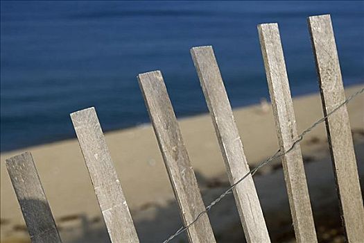 木篱,海滩