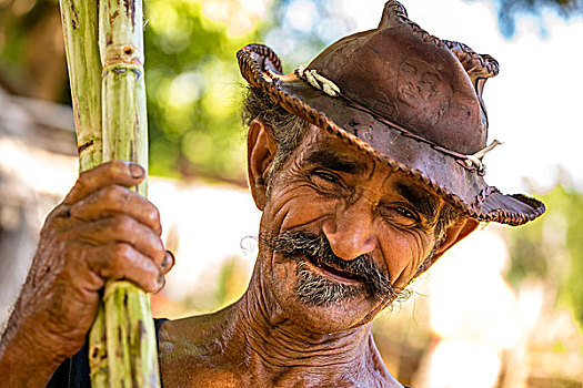 甘蔗,农民,拿着,种植园,特立尼达,圣斯皮里图斯,省,古巴,北美
