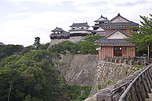 斑点,松山市,城堡,日本