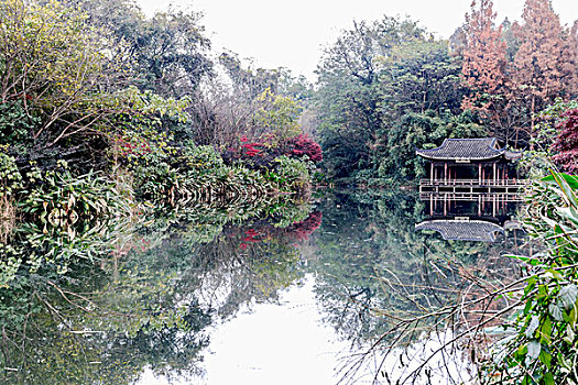 杭州花圃秋景