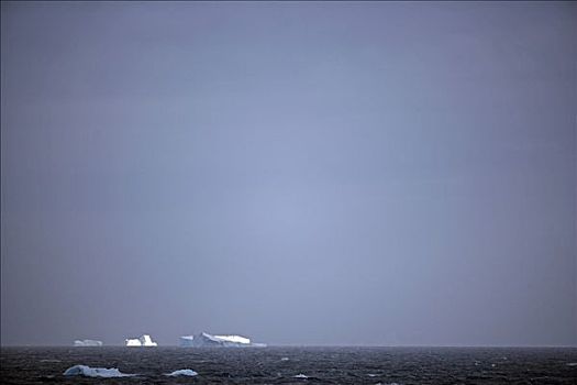 南极,南极半岛,南极海峡,大,扁平,冰山,突显,风暴,水,太阳