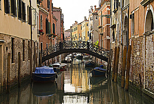 意大利,威尼斯,景色,桥,高处,运河