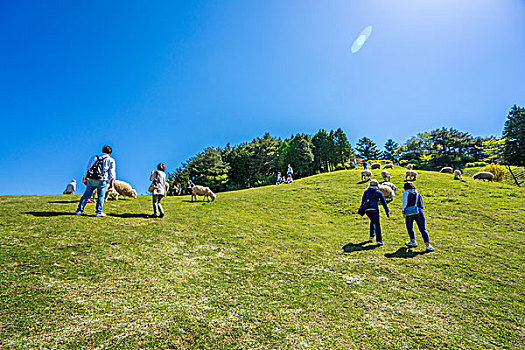 神户六甲山牧场