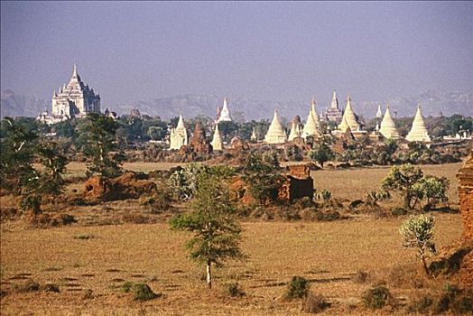塔,风景,蒲甘,缅甸