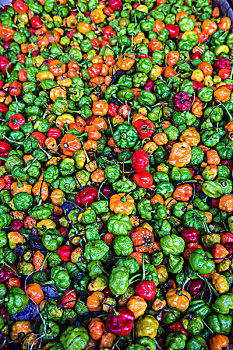 特写,彩色,胡椒,食品市场,哈瓦那,古巴