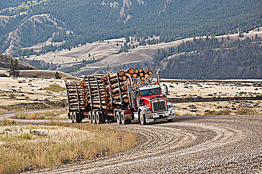 伐木,卡车,峡谷,靠近,不列颠哥伦比亚省,加拿大