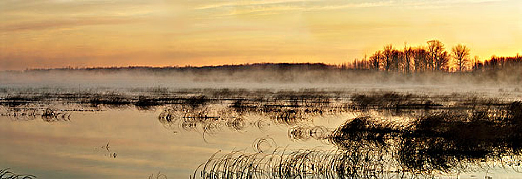 小,湿地,日出,区域,安大略省,加拿大