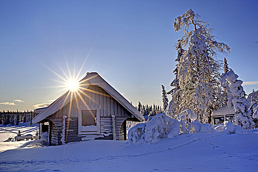 瑞典,拉普兰,房子,小屋,冬天,冬季风景