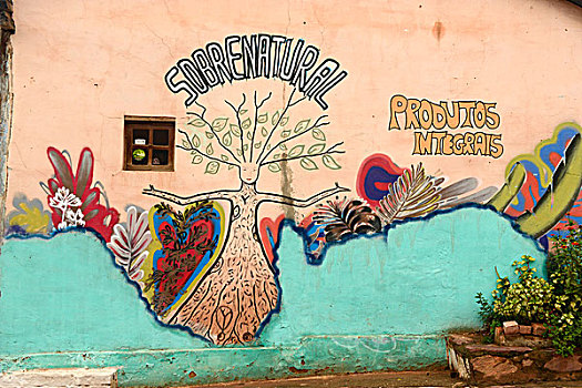 壁画,乡村,国家公园,巴伊亚,东北方,海岸,巴西,南美