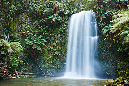 瀑布,雨林,奥特韦国家公园,区域,澳大利亚,大洋洲