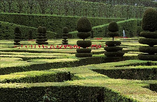 维兰多利城堡,花园,法国