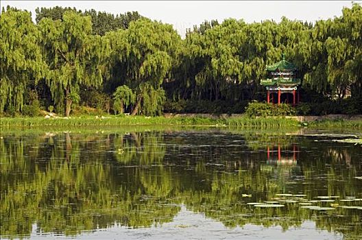 亭子,湖,圆明园,北京,中国