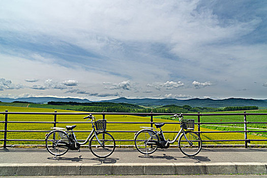 日本北海道美瑛