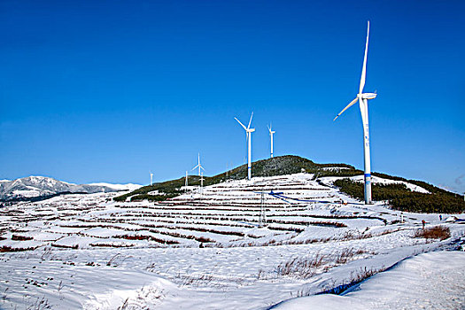 云南东川红土地,打马坎,雪后风力发电机群