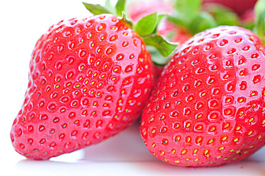 草莓,隔绝