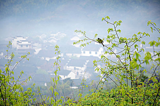 山村春色