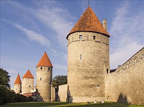 城墙,塔,塔林,爱沙尼亚,欧洲