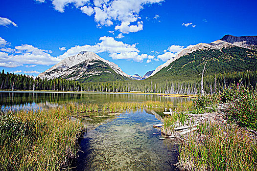 水塘,山,省立公园,卡纳纳斯基斯县,艾伯塔省,加拿大