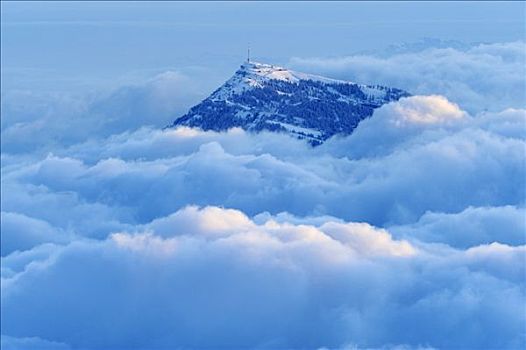 山,高处,海洋,雾,中心,瑞士,欧洲