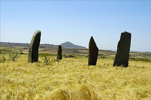 四个,石碑,地点,阿克苏姆,埃塞俄比亚