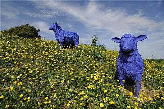 艺术,蓝色,绵羊,靠近,房子,北方,北海,石荷州,德国,欧洲