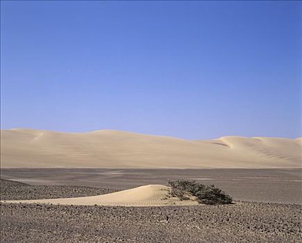 骷髅海岸,纳米比亚