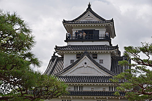 斑点,高知,城堡,日本