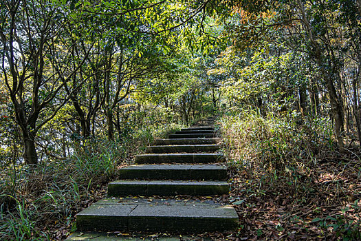 深圳梧桐山登云道