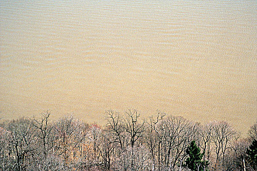 俯视图,秃树,哈得逊河,新泽西,美国