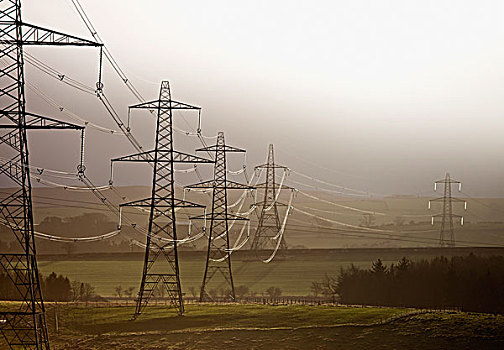 电,输电塔,排列,土地,诺森伯兰郡,英格兰