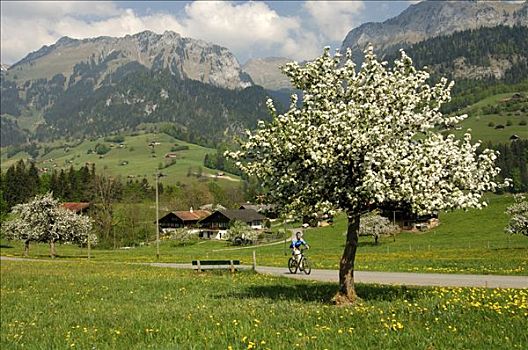 春天,瑞士