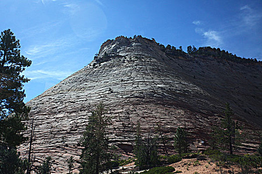 宰恩国家公园,锡安国家公园,锡安山峡谷,棋盘山,山谷,山峰,山脉,黑松树,公路,汽车,北美洲,美国,犹他州,史普林戴尔,风景,全景,文化,景点,旅游