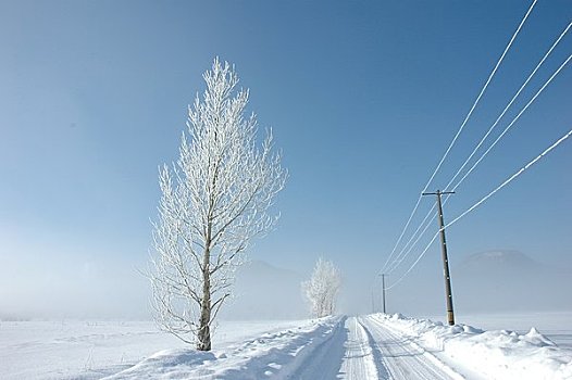 乡村道路,雪