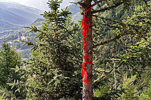 五台山上的红丝带