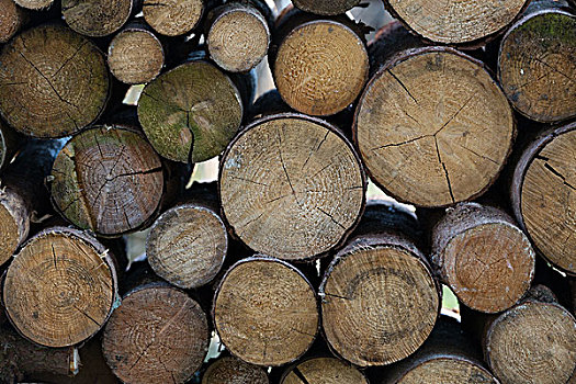 木柴,堆积,背景