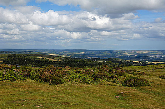 风景,上方,达特姆尔高原,德文郡,英格兰,英国,欧洲
