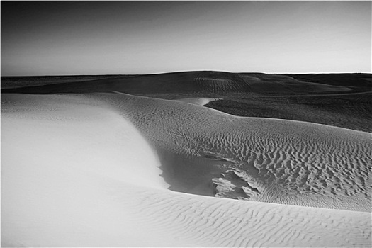 沙丘,撒哈拉沙漠,黑白