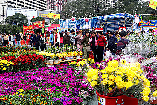 春节,花市,铜锣湾,香港